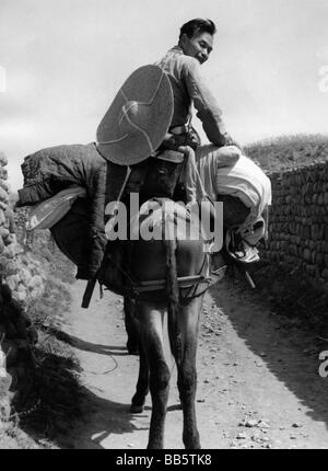 geography / travel, China, people, Chinese trader of second-hand goods on the way to a village fair, 2nd half of the 20th century, historic, historical, sitting on donkey, hat, basket, smiling, market, Stock Photo