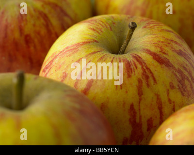 cox apples Stock Photo