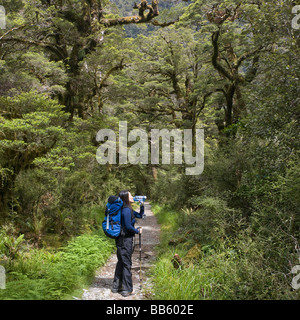 Chinese woman backpacking along remote forest path Stock Photo
