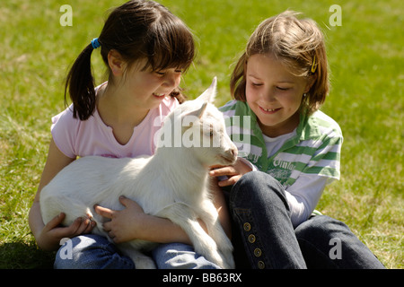 Girls hugging goats in grass Stock Photo