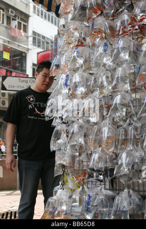 Goldfish for sale in plastic bags at the goldfish markets, Tung Choi Street, Mongkok, Kowloon Stock Photo