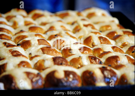 Hot cross buns straight out of the bakers oven Stock Photo