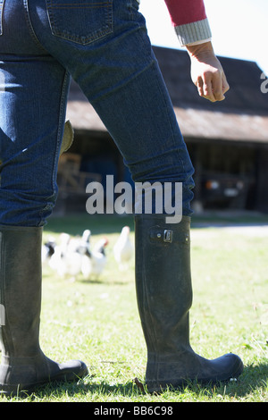 Woman Feeding Poultry In Farmyard Stock Photo