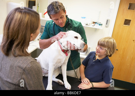 Boy And Mother Taking Dog For Examination By Vet