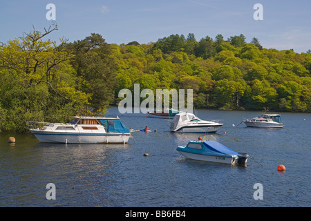 Spring colours on Loch Lomond Aldochlay looking to Inch Tavannach island Scotland May 2009 Stock Photo