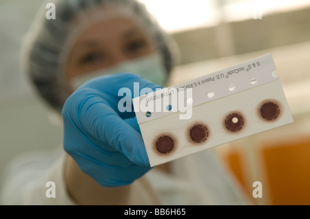 Lab technicians working on DNA- led identifications of missing persons from Bosnia-Herzegovina at the laboratory of ICMP in the town of Tuzla, Bosnia Stock Photo