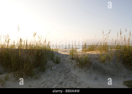 beach dunes in south carolina Stock Photo
