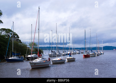 Yachts Moored in Line at Crammond Sailing Club Firth of Forth Edinburgh Scotland United Kingdom UK Stock Photo