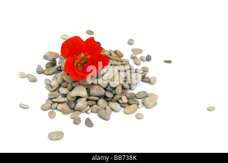 Stein stone 03 Stock Photo