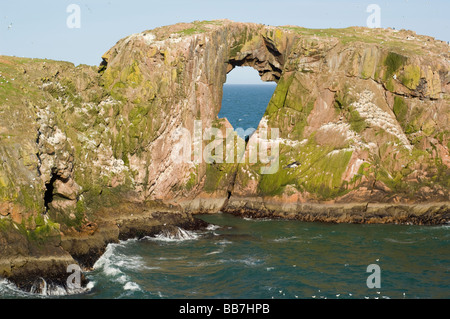 Dunbuy, a natural rock arch and rocky coastline in Aberdeenshire, with sea birds nesting on the granite cliffs. Stock Photo