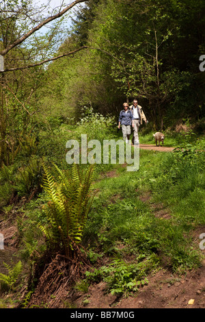 UK Gloucestershire Forest of Dean Soudley Ponds Nature Reserve middle aged couple walking their dog Stock Photo