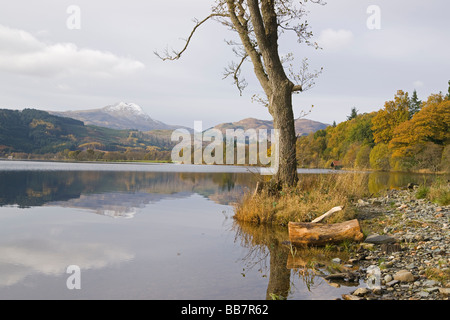 Autumn colours in the Trossachs Loch Ard looking to Ben Lomond Perthshire Scotland November 2008 Stock Photo