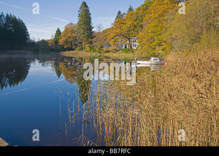 Autumn colours in the Trossachs Loch Ard Perthshire Scotland November 2008 Stock Photo