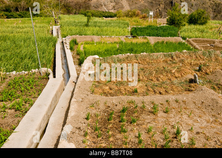 Scenery with Water irrigation system Falaj in Jabal el Akhdar Sultanate of Oman Stock Photo