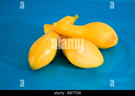Yellow summer or crooked neck squash Stock Photo