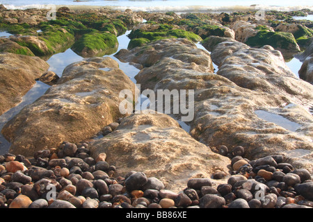 Rocky beach at Seaford, England Stock Photo