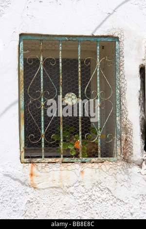 IMG 7040 window Stock Photo