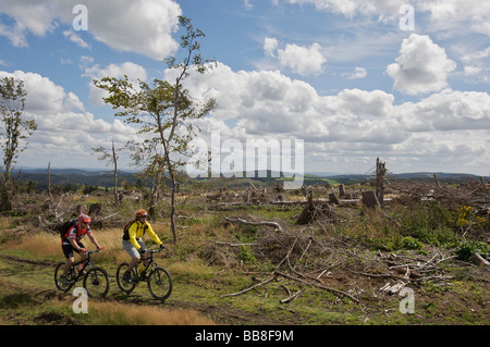 Mountain bike riders riding along the border ridgeway, deforested by cyclone Kyrill, between North Rhine-Westphalia and Hesse, Stock Photo