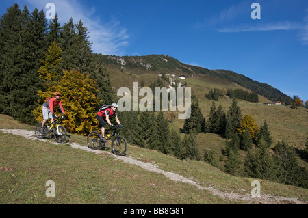 Mountain biker at Mount Gaisberg, Rettenbach, Tyrol, Austria Stock Photo
