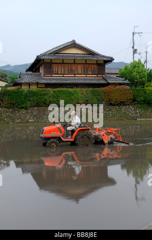 Rice farmer thatching his rice paddy, traditional farm house in the back, Iwakura, Kyoto, Japan, Asia Stock Photo