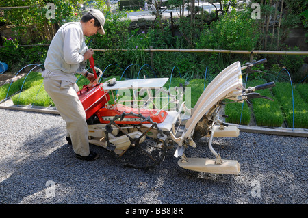 Rice farmer giving his rice-planting machine an overhaul, rice shoots in the back, Iwakura, Kyoto, Japan, Asia Stock Photo