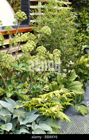 Eco Chic Garden sponsored by Helios Gold medal winner Stock Photo