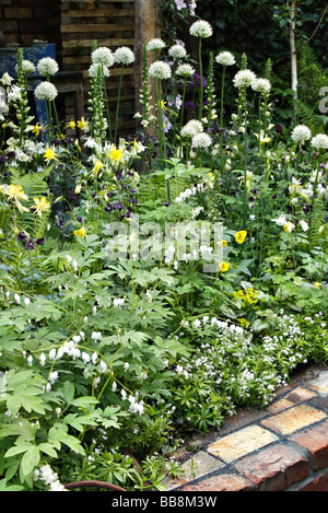 RHS Chelsea Flower Show 2009 Pottering in North Cumbria Stock Photo