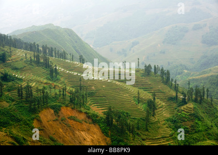 View over the Lao Chai Valley, Sapa, Vietnam