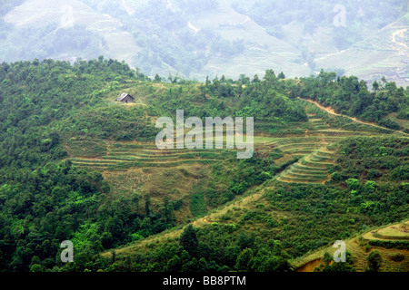 View over the Lao Chai Valley, Sapa, Vietnam