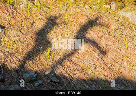 The shadows 2 men jumping in the Lake District UK Stock Photo