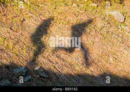 The shadows 2 men jumping in the Lake District UK Stock Photo