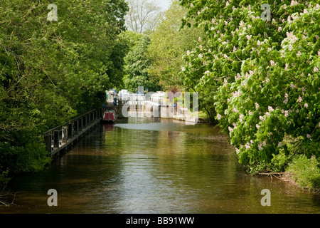 Lock on the River Thames at Pangbourne in Berkshire Uk Stock Photo