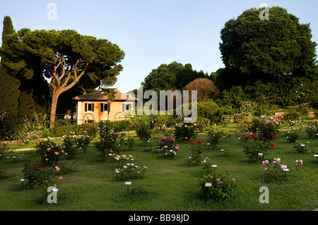 Rome Rose Garden, Italy Stock Photo - Alamy