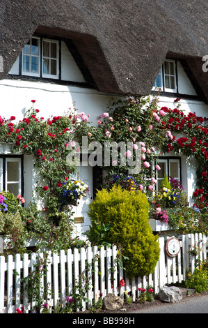 Old fashioned Rose Cottage. Thatched cottage with climbing red roses in Wherwell, Hampshire, England Stock Photo