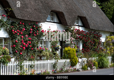 Old fashioned Rose Cottage. Thatched cottage with climbing red roses in Wherwell, Hampshire, England Stock Photo