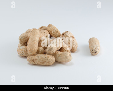 pile of peanuts in the shell with one separated from the pile all isolated on white Stock Photo