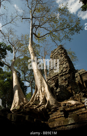 A view through the trees of the ruins of Preah Palilay, Seam Reap, Cambodia. SE Asia Stock Photo