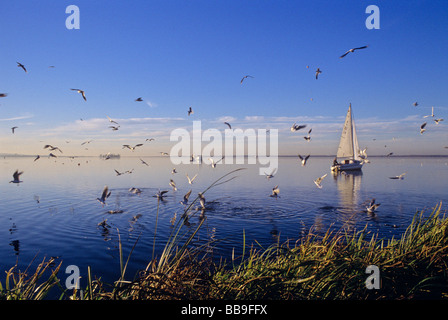 sailing boat at evening area of steinhuder meer county of lower saxony germany Stock Photo