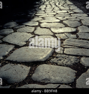 original stone pavement of roman road via appia antica near city of rome region of latium italy Stock Photo