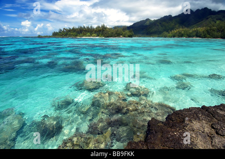 Reefs and islands in the lagoon surrounding the island of Moorea, Tahiti, French Polynesia Stock Photo