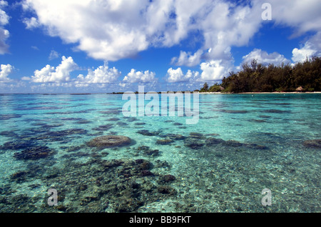 Reefs and islands in the lagoon surrounding the island of Moorea, Tahiti ,French Polynesia Stock Photo