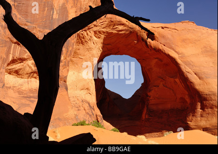 Ear of the Wind and Silhouetted Juniper Tree Monument Valley Sunrise Arizona USA Stock Photo