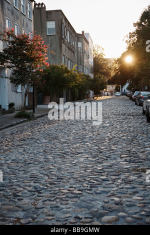 Cobblestone road, Chalmers Street, Charleston, South Carolina, USA Stock Photo