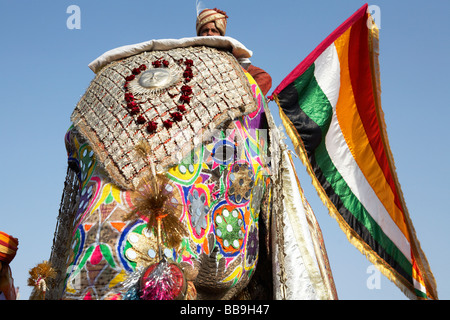 Elephants with Riders at The Elephant Festival Jaipur Rajasthan India Stock Photo
