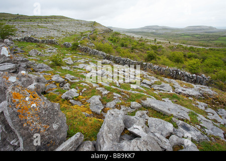 Limestone pavements and stone walls of Fahee North looking Turloughmore Burren County Clare Ireland Eire Irish Republic Europe Stock Photo