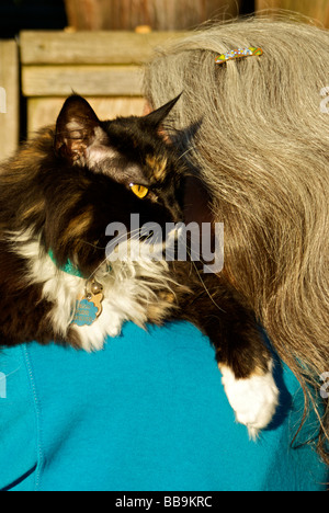 Woman cuddling longhaired Norwegian forest cat lying over her shoulder Stock Photo