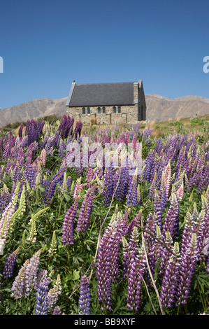 Wild Lupins and Church of the Good Shepherd Lake Tekapo Mackenzie Country South Island New Zealand Stock Photo