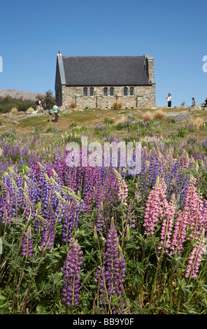 Wild Lupins and Church of the Good Shepherd Lake Tekapo Mackenzie Country South Island New Zealand Stock Photo