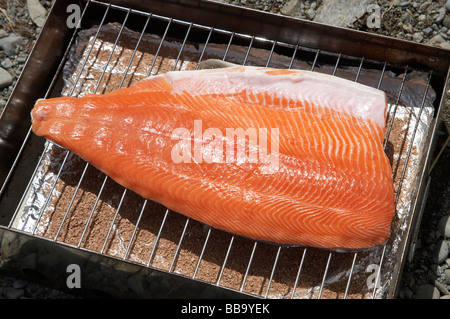 Smoking a Salmon Fillet on the Beach Lake Ohau Mackenzie Country South Island New Zealand Stock Photo