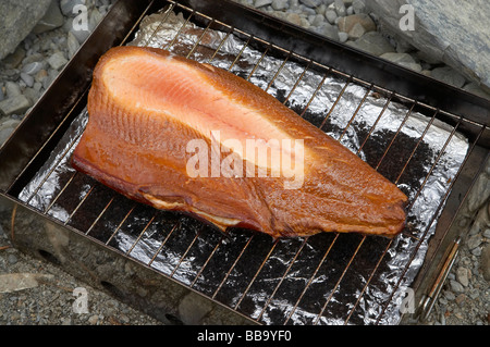 Smoking a Salmon Fillet on the Beach Lake Ohau Mackenzie Country South Island New Zealand Stock Photo